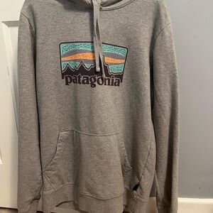 Patagonia Gray Sweatshirt Graphic Hoodie